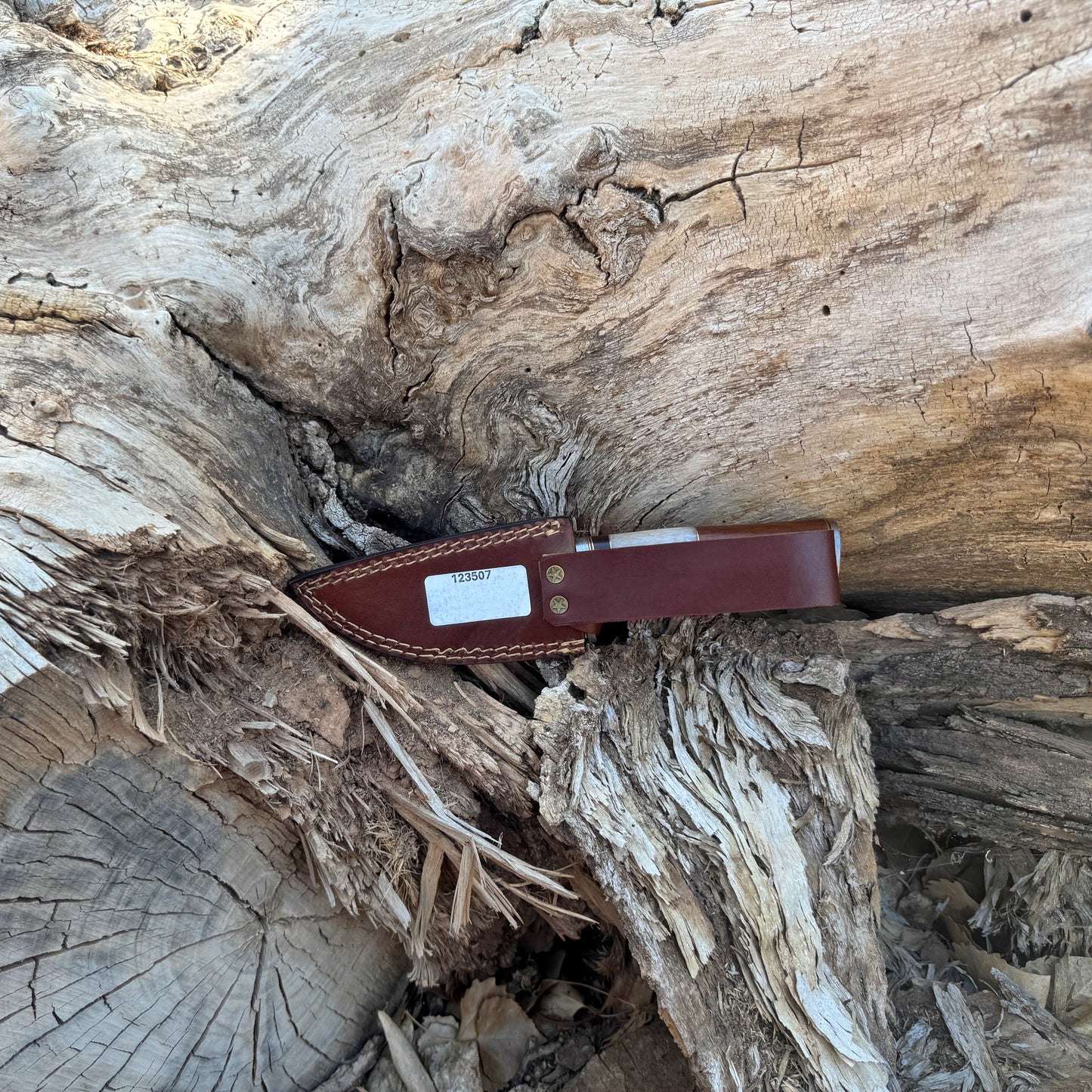 Timber Fang Hand-Forged Damascus Skinner with Bone & Rosewood Handle