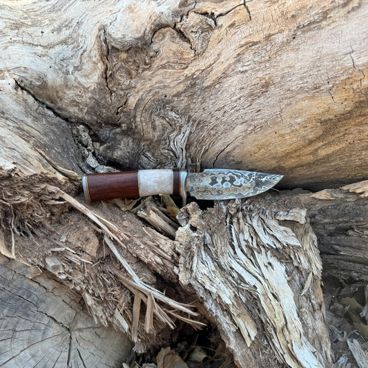 Timber Fang Hand-Forged Damascus Skinner with Bone & Rosewood Handle