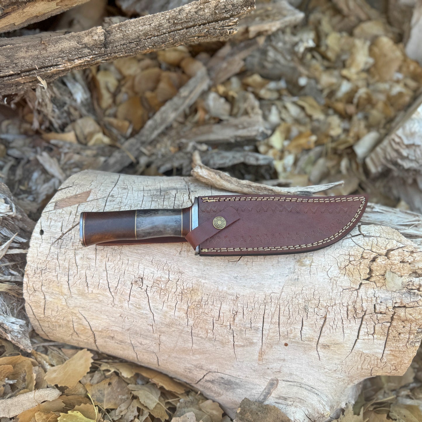 Ironwood Sentinel Hand-Forged Damascus Bowie Knife with Horn & Damascus Guard