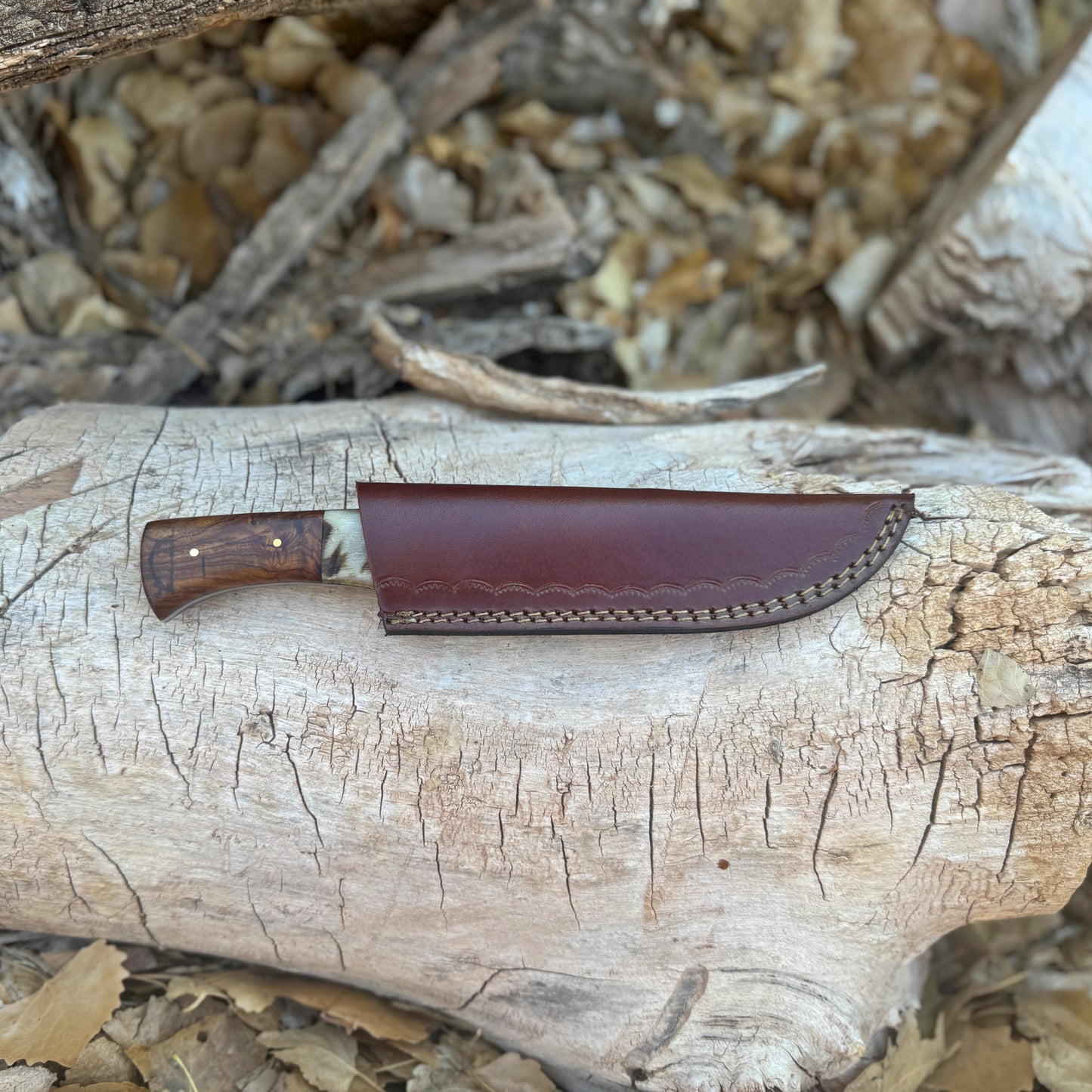 The Nomad Hand-Forged Damascus Camp Knife with Horn & Hardwood Handle