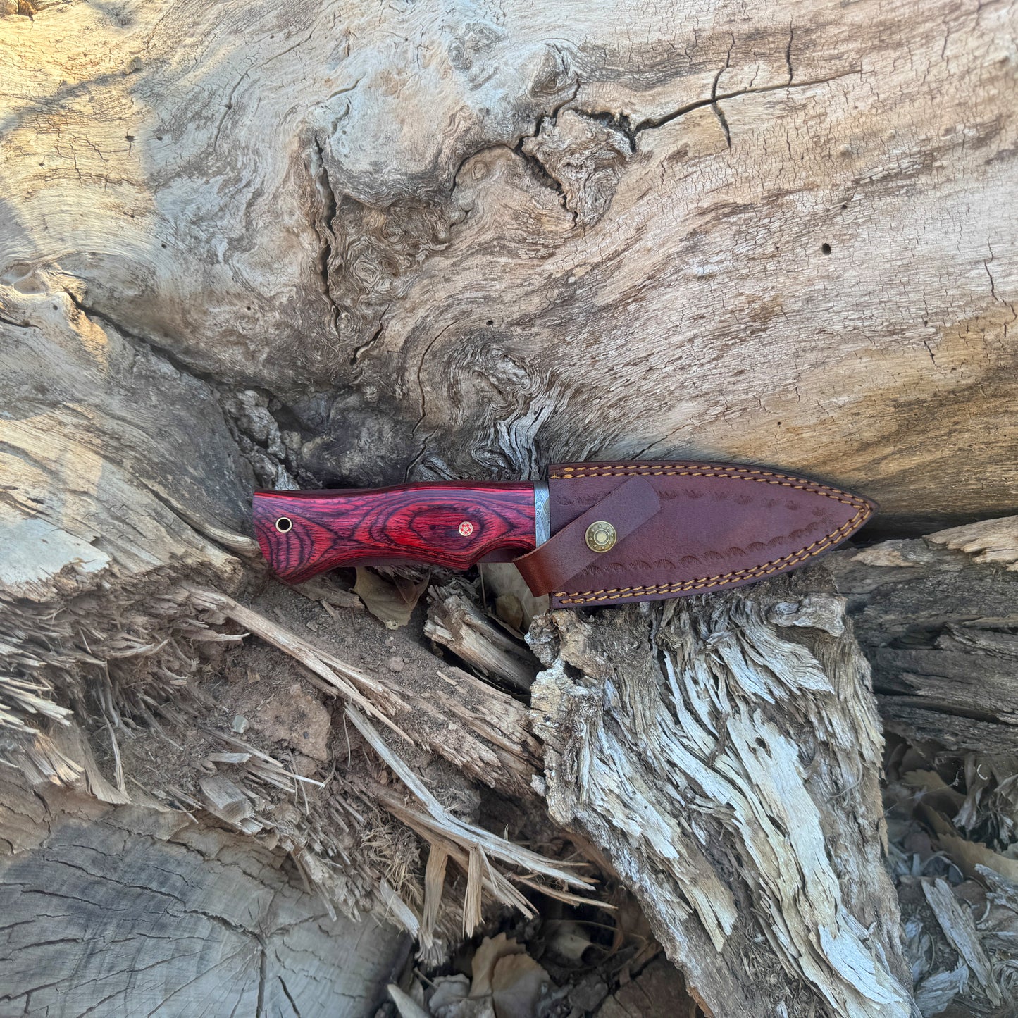 Backwood Hunter Hand-Forged Damascus Hunting Knife with Stained Hardwood Handle
