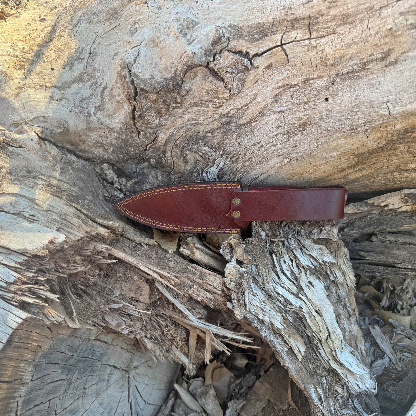 Backwood Hunter Hand-Forged Damascus Hunting Knife with Stained Hardwood Handle