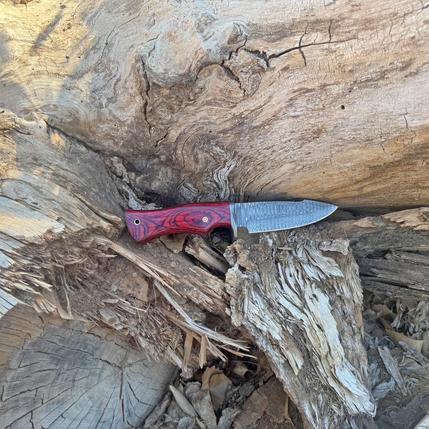 Backwood Hunter Hand-Forged Damascus Hunting Knife with Stained Hardwood Handle