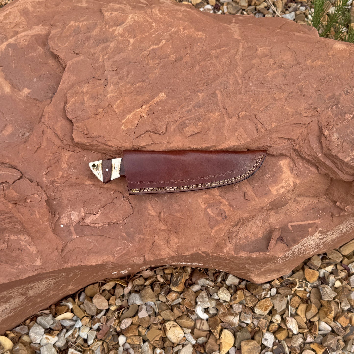 The Bone Collector Hand-Forged Damascus Hunting Knife with Stag & Hardwood Handle