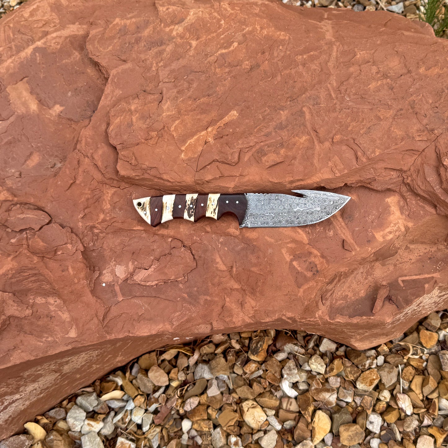 The Bone Collector Hand-Forged Damascus Hunting Knife with Stag & Hardwood Handle