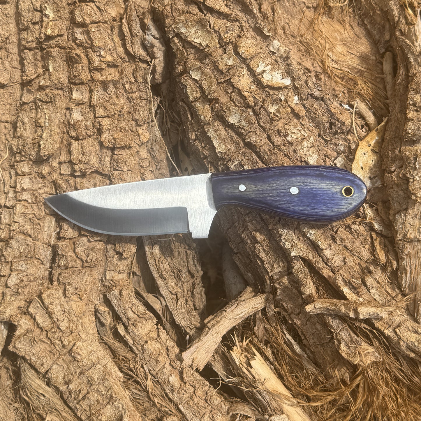 Stormfang Hunter Fixed Blade Knife with Custom Leather Sheath