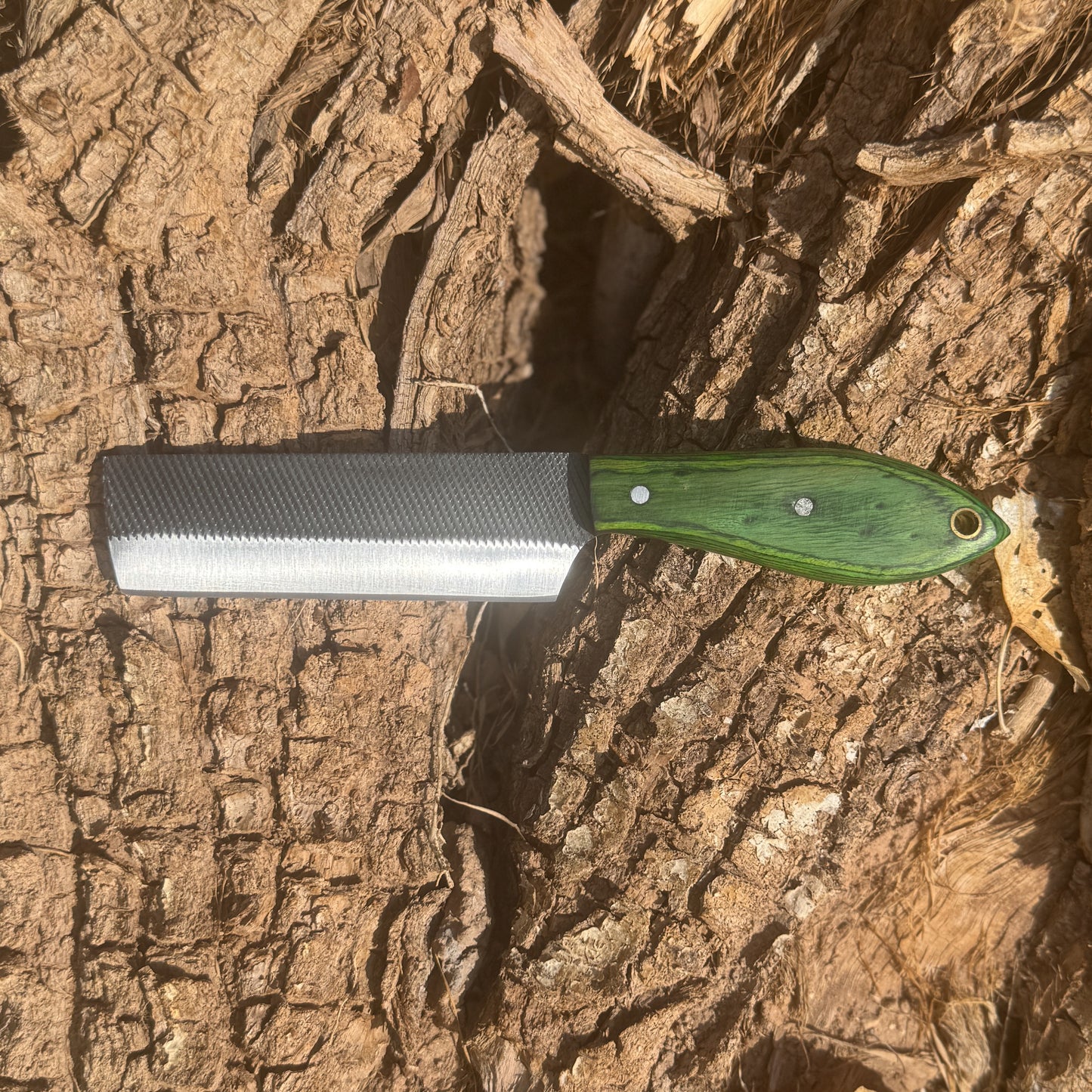 Evergreen Rasp Reclaimed Steel Knife with Custom Leather Sheath