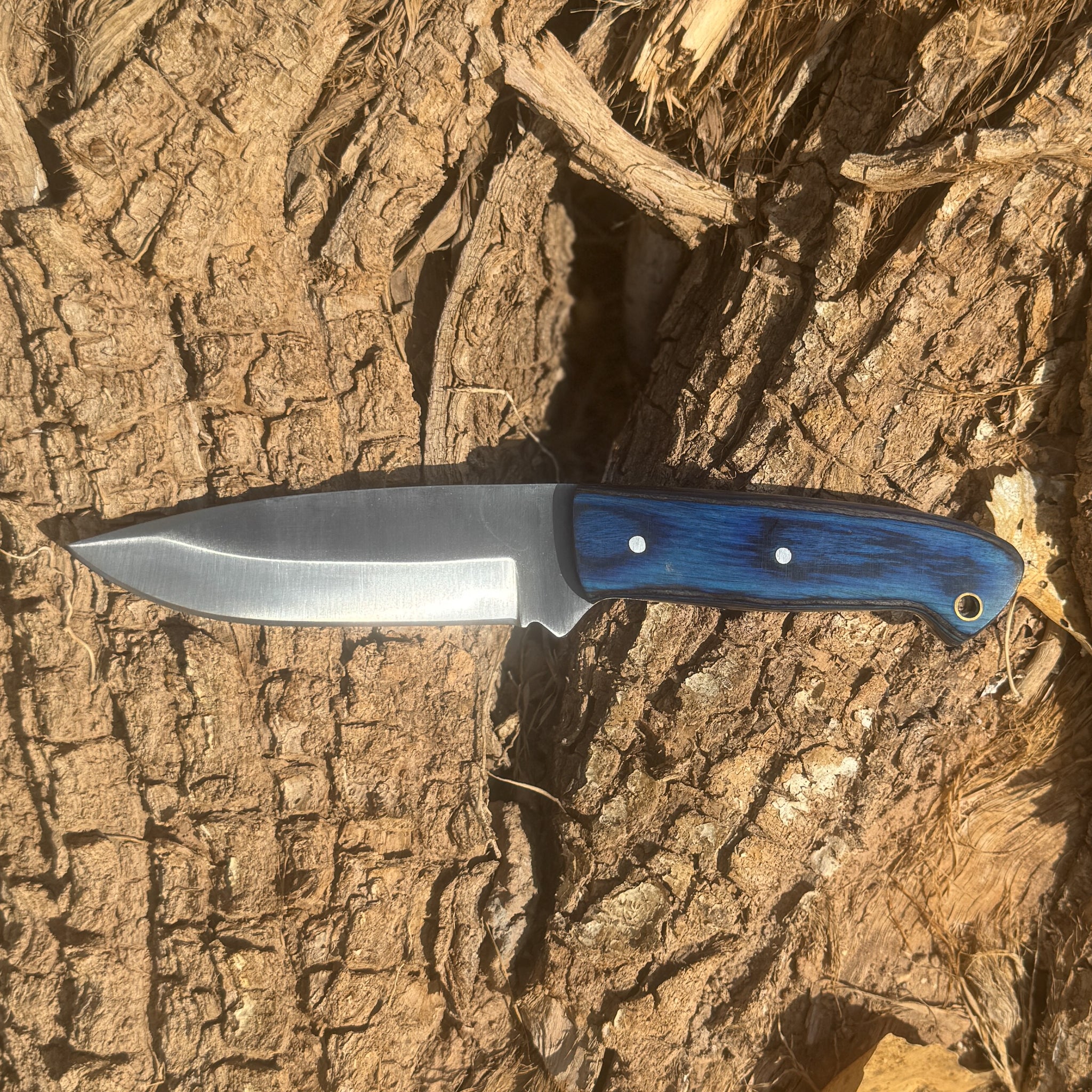 Blue Ridge Skinner Knife High-Carbon Steel Hunting & EDC Knife with Le ...