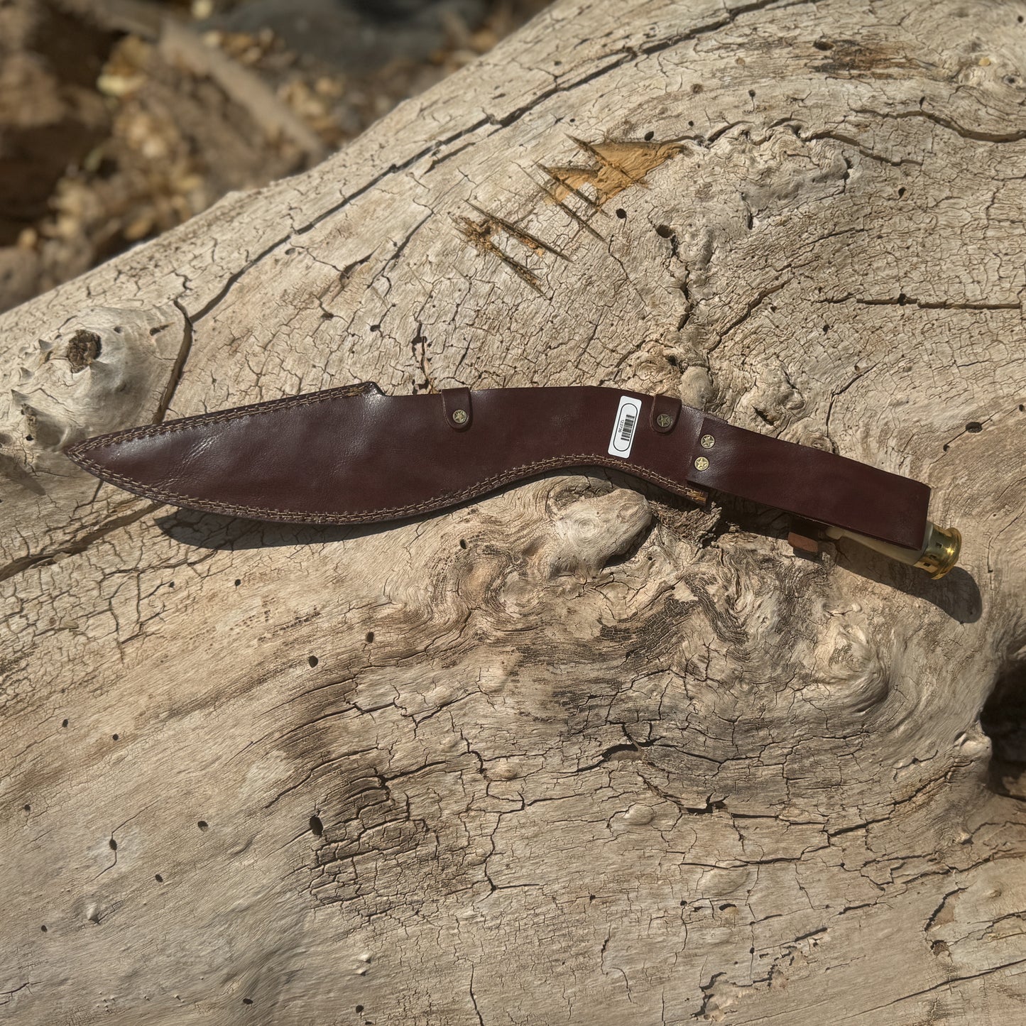 Ivory Fang Kukri