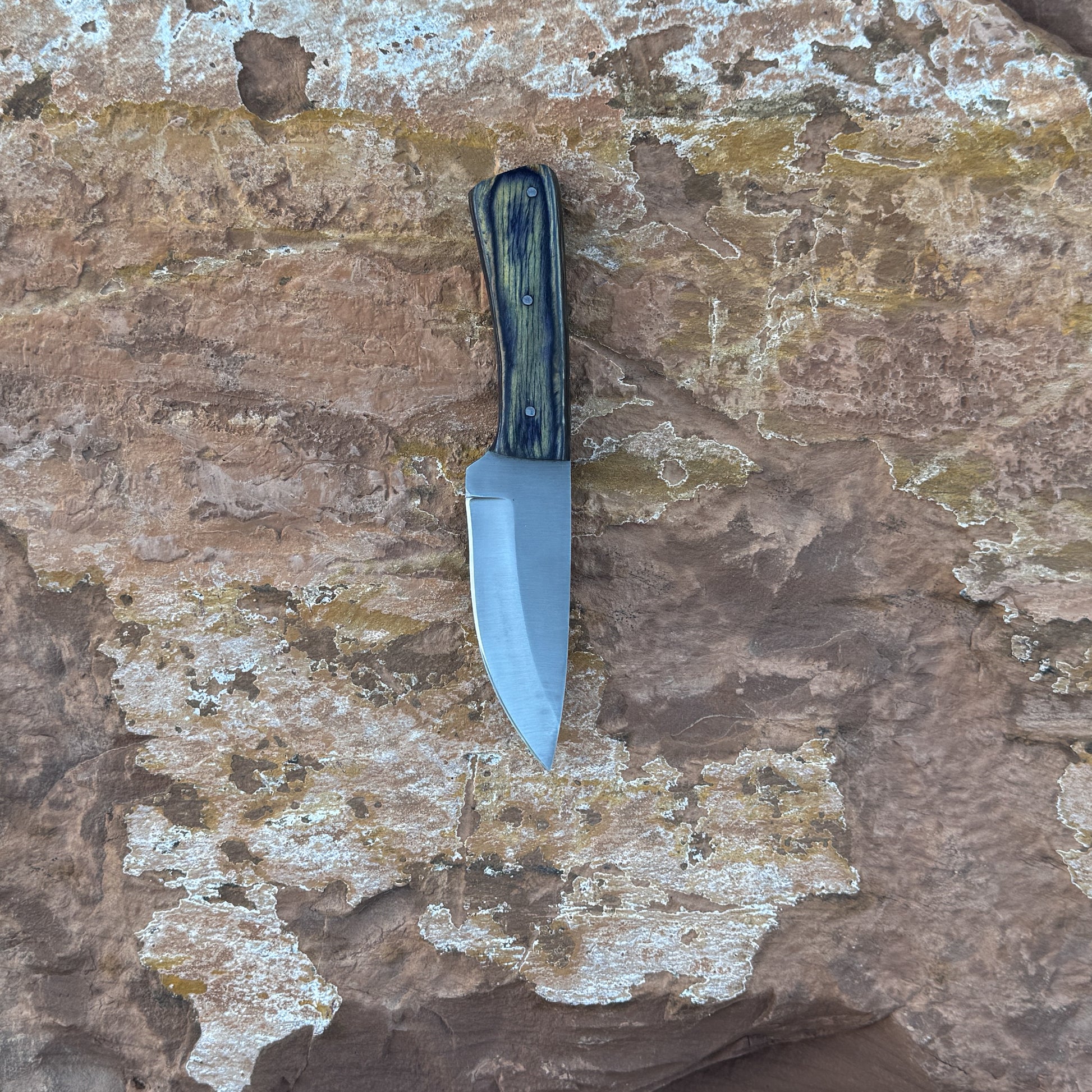 Timber Fang drop-point knife with wood-grain handle

Full-tang outdoor blade displayed on leather sheath

Close-up of dark and light wood grain handle with rivets

Timber Fang knife on natural wood background

Knife and star-accent leather sheath arranged together

Rugged field knife in natural lighting

Blue Spade Forge Timber Fang held in hand for scale

Drop-point fixed blade ready for outdoor field tasks