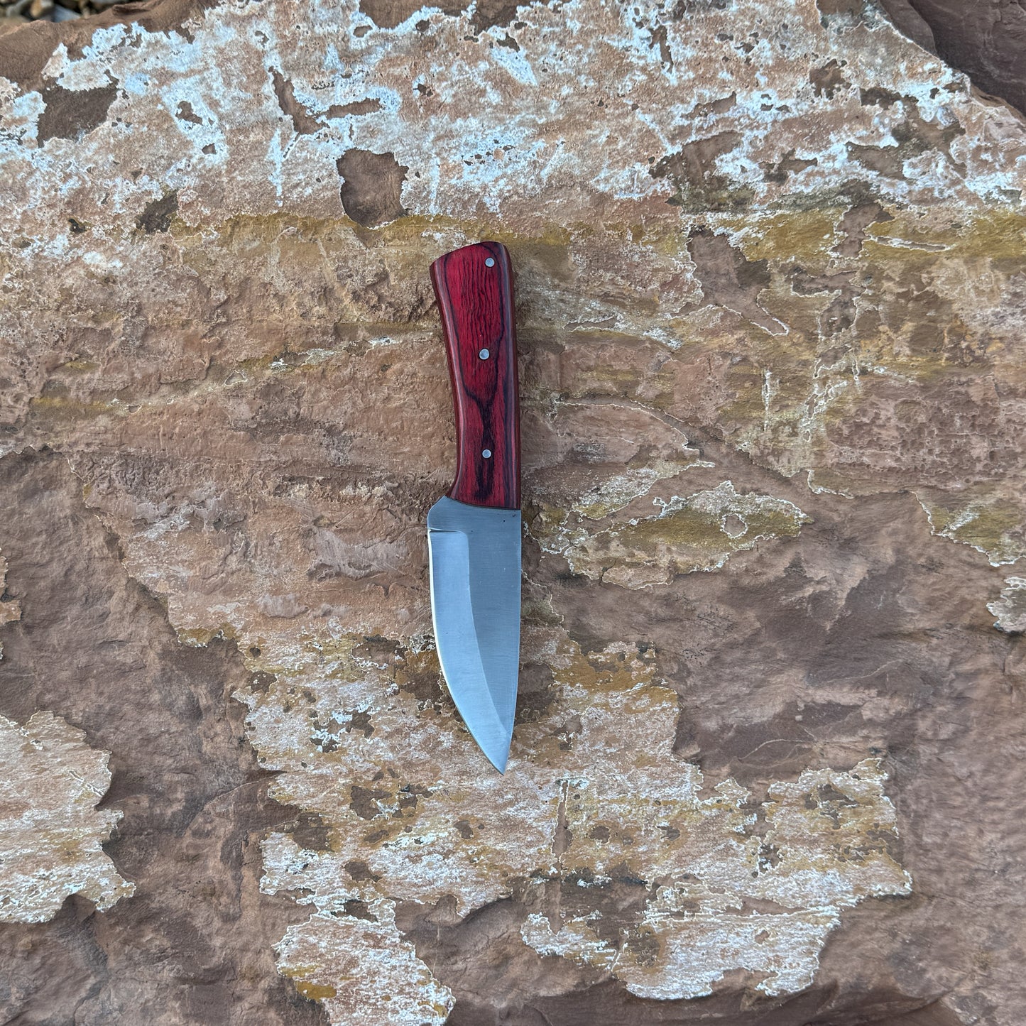 Ironwood Edge fixed blade knife with deep red wood handle

High-carbon blade displayed on brown leather sheath

Close-up of red hardwood handle with triple pins

Ironwood Edge knife on natural wood background

Knife and hand-stitched leather sheath arranged together

Outdoor fixed blade knife in natural lighting

Blue Spade Forge Ironwood Edge held in hand for scale

Rugged high-carbon knife ready for field and everyday use