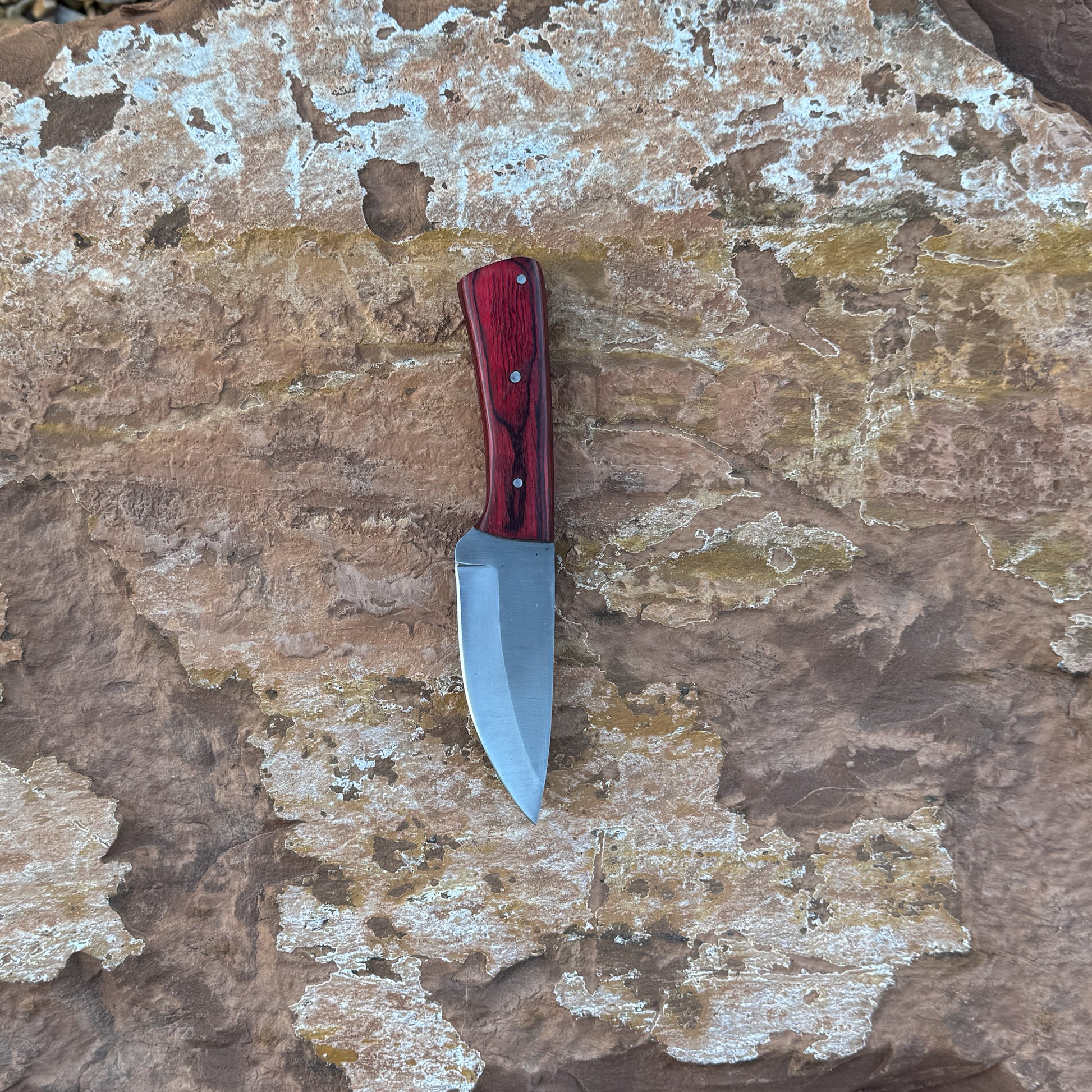 Ironwood Edge fixed blade knife with deep red wood handle

High-carbon blade displayed on brown leather sheath

Close-up of red hardwood handle with triple pins

Ironwood Edge knife on natural wood background

Knife and hand-stitched leather sheath arranged together

Outdoor fixed blade knife in natural lighting

Blue Spade Forge Ironwood Edge held in hand for scale

Rugged high-carbon knife ready for field and everyday use