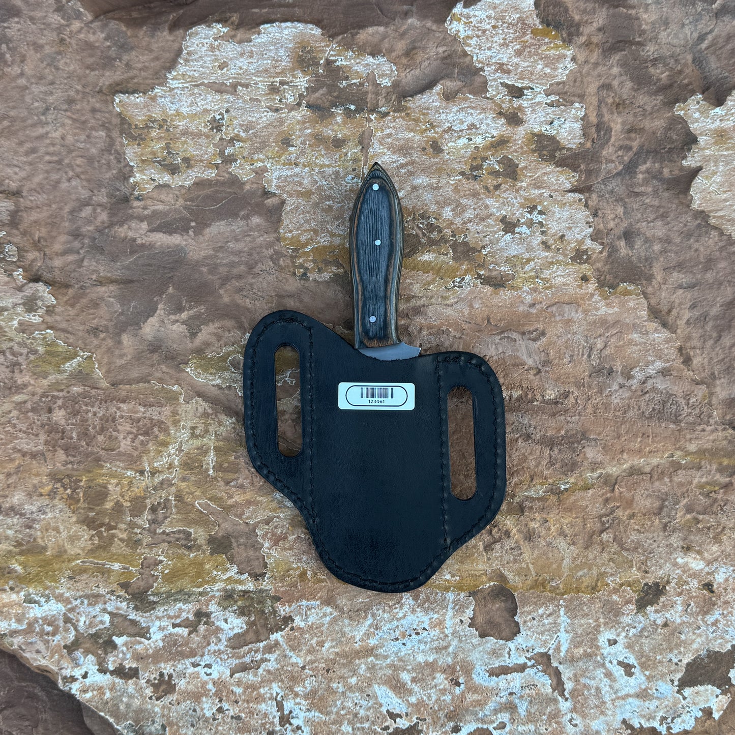 Midnight Timber clip-point knife with dark hardwood handle

Full-tang outdoor blade displayed on brown leather sheath

Close-up of dark-grain hardwood handle with triple rivets

Midnight Timber knife on natural wood background

Knife and hand-stitched leather sheath arranged for product showcase

Clip-point fixed blade in natural lighting

Blue Spade Forge Midnight Timber held in hand for scale

Rugged outdoor knife ready for hunting and field work