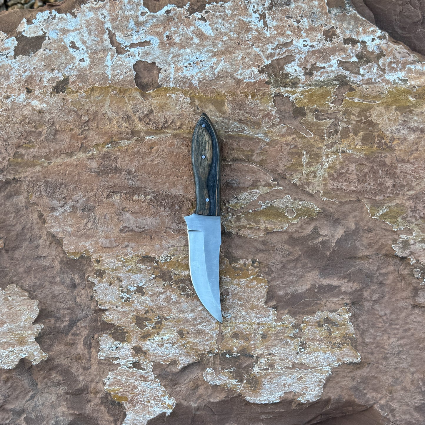 Midnight Timber clip-point knife with dark hardwood handle

Full-tang outdoor blade displayed on brown leather sheath

Close-up of dark-grain hardwood handle with triple rivets

Midnight Timber knife on natural wood background

Knife and hand-stitched leather sheath arranged for product showcase

Clip-point fixed blade in natural lighting

Blue Spade Forge Midnight Timber held in hand for scale

Rugged outdoor knife ready for hunting and field work