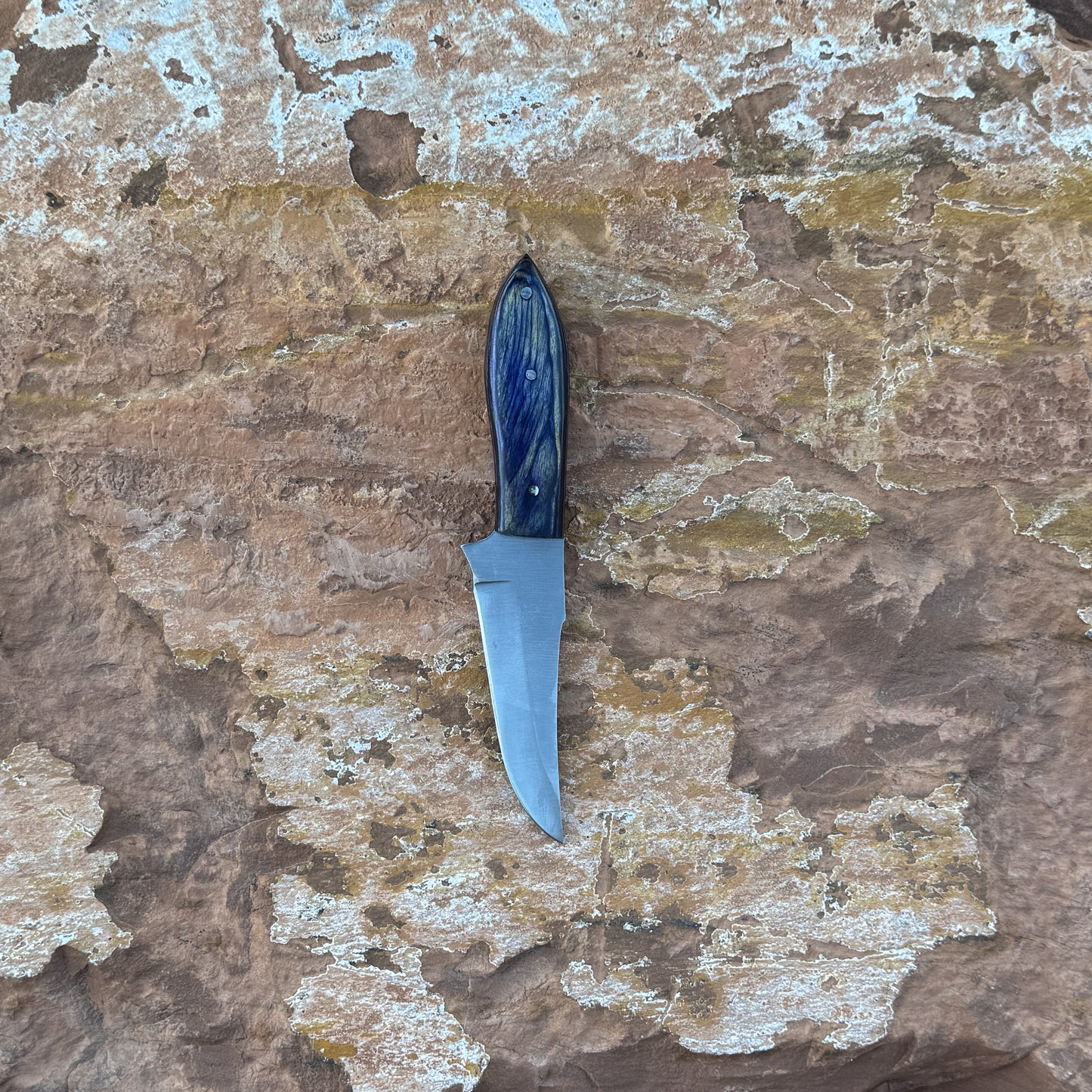 Midnight Ridge stainless fixed blade knife with blue resin handle

Curved stainless blade displayed on hand-stitched leather sheath

Swirled blue resin handle close-up

Midnight Ridge knife on natural wood background

Knife and leather sheath arranged for product display

Outdoor field knife in natural lighting

Blue Spade Forge Midnight Ridge held in hand for scale

Stainless fixed blade ready for trail and outdoor use