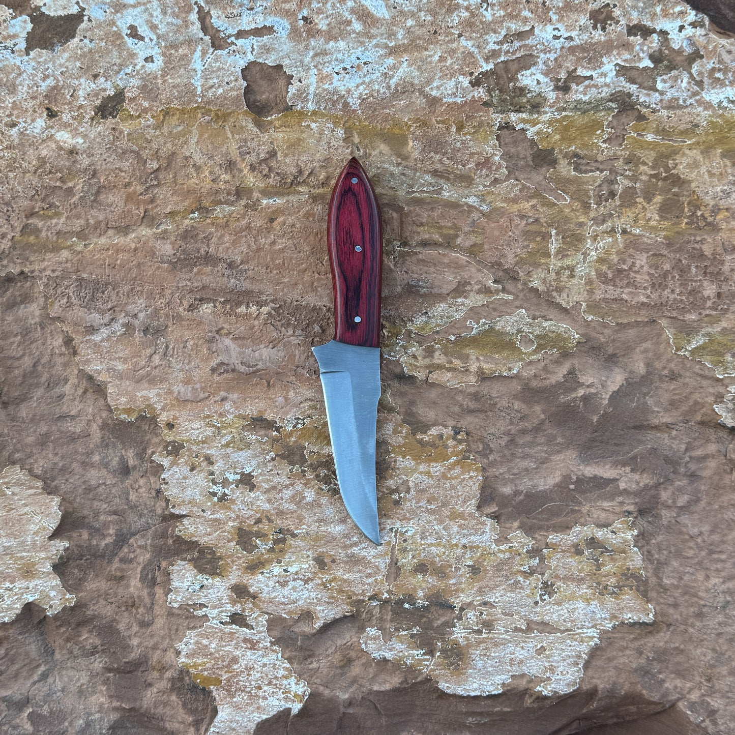 A full-tang fixed blade knife with a high-carbon steel blade and a deep red hardwood handle featuring bold grain patterns, shown with its hand-stitched brown leather sheath. Crafted by Blue Spade Forge for rugged outdoor tasks, carving, slicing, and field use.