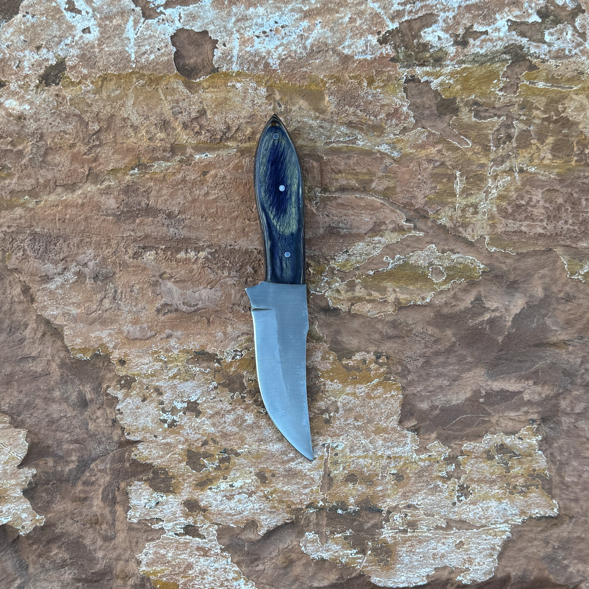 A sleek fixed-blade hunting knife with a curved 1095 high-carbon steel blade and a dark-dyed hardwood handle reinforced with triple pins, shown alongside its hand-stitched leather sheath. Crafted by Blue Spade Forge for hunting, skinning, and rugged outdoor field use.