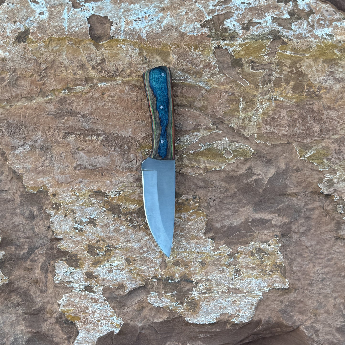 A full-tang 1095 high-carbon steel field knife with a contoured dyed-wood handle featuring bold color and rich grain patterns, shown with its hand-stitched brown leather sheath. Crafted by Blue Spade Forge for field use, camping, bushcraft, and rugged outdoor tasks
