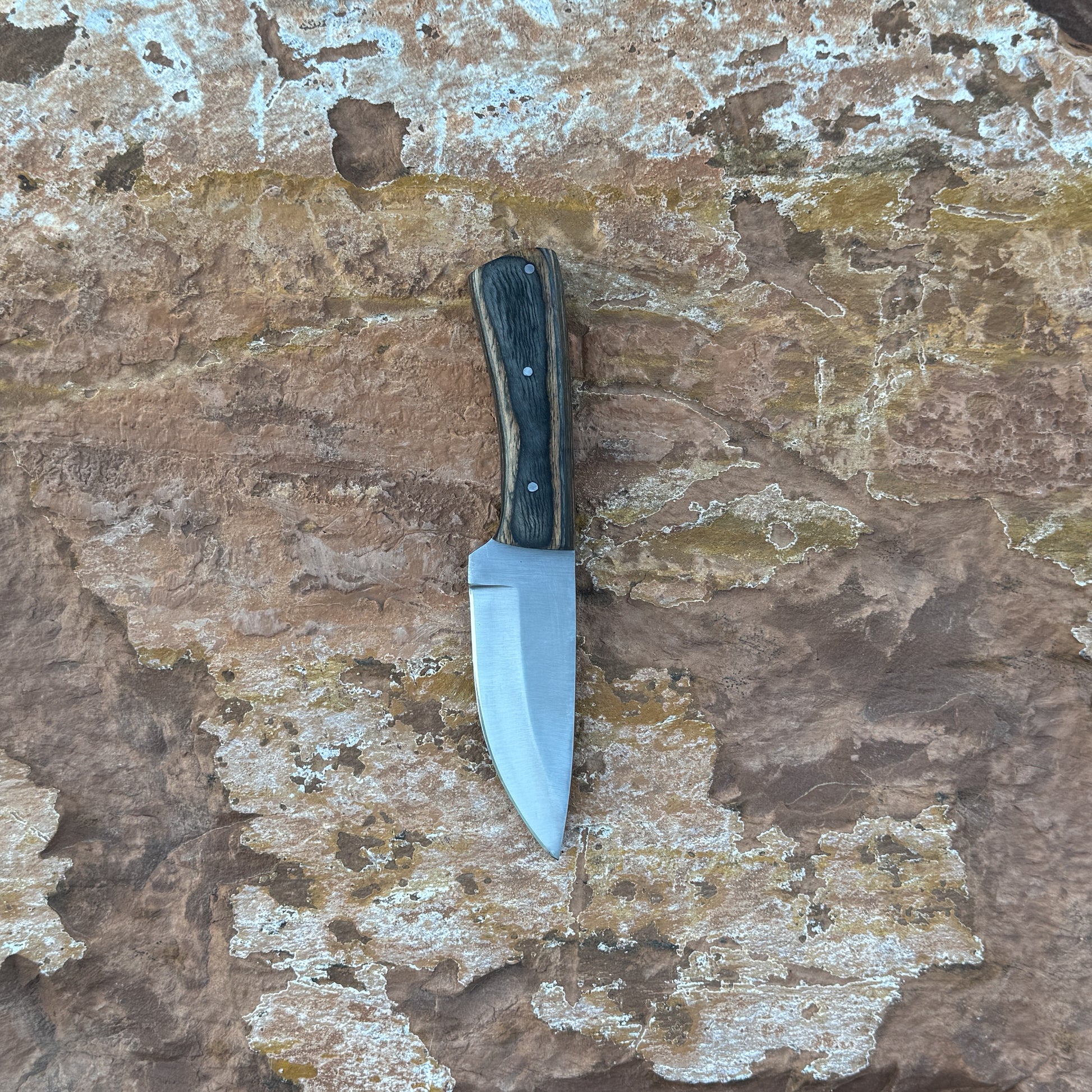 A full-tang drop-point field knife with a satin-finished blade and dark-wood handle, triple-riveted for strength, photographed for Blue Spade Forge. Shown with its handcrafted leather sheath, highlighting the rugged outdoor style and premium construction