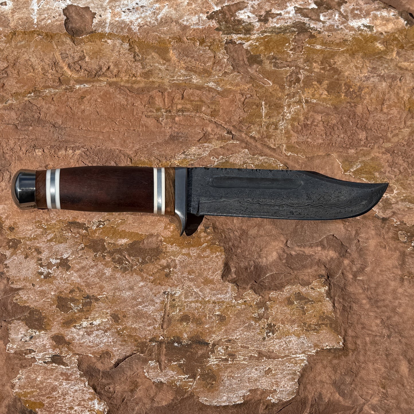 Frontier Talon Bowie knife by Blue Spade Forge with damascus steel blade and wood handle displayed on natural rock surface outdoors